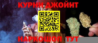 индика Обь