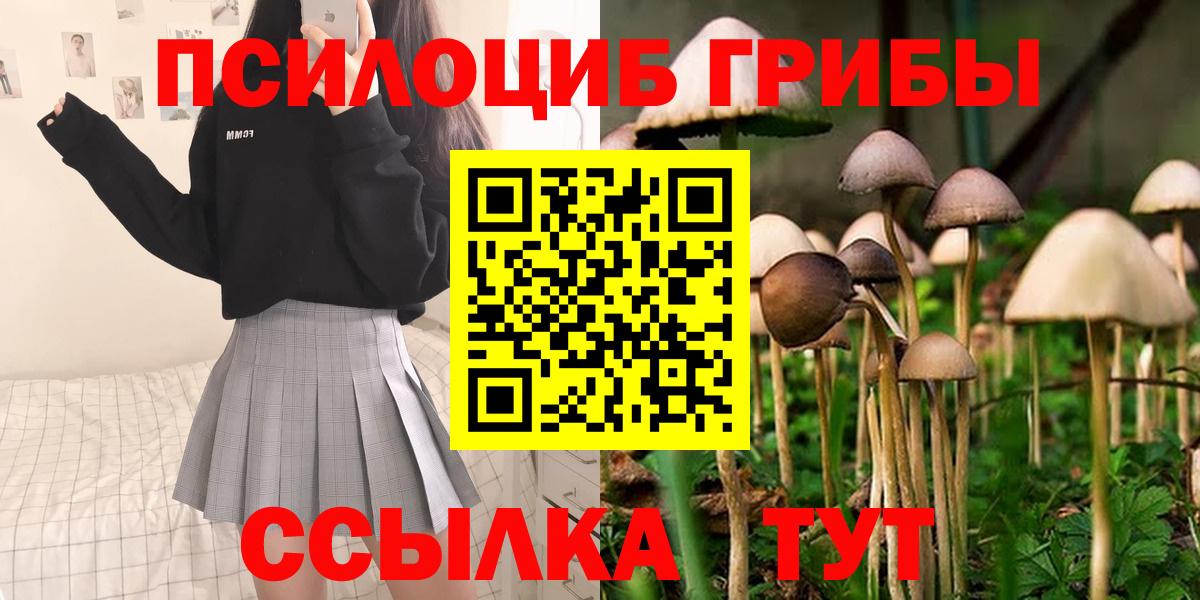 Псилоцибиновые грибы MAGIC MUSHROOMS Рославль