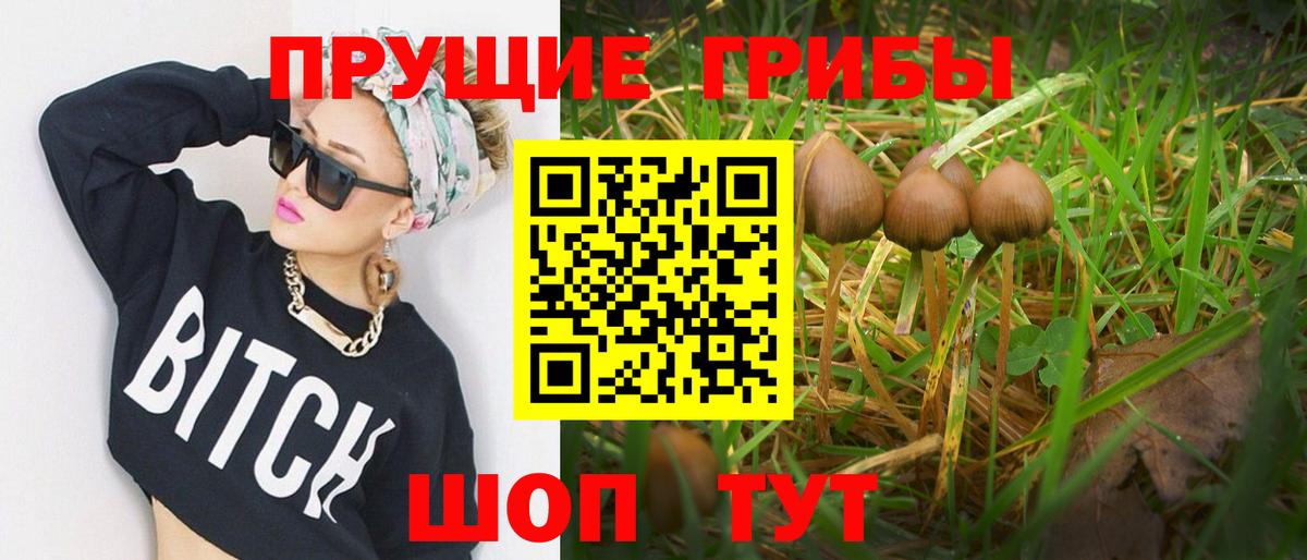 Рославль  Псилоцибиновые грибы мухоморы  Галлюциногенные грибы прущие грибы  Вход с VPN 